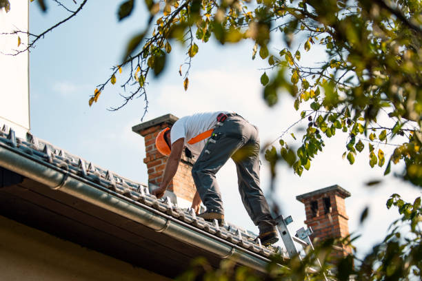 Best Commercial Roofing Services  in Somerdale, NJ